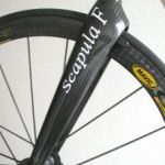 2 Scapula F ganz - 4940